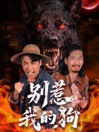 �����ҵĹ�