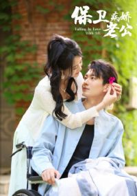 ���������Ϲ�