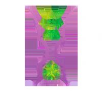 �������ޱ� ������vs����20250811